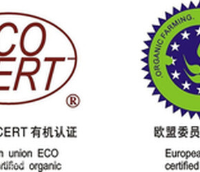 太原地理标志商标代理 守护地方特色，助力品牌崛起