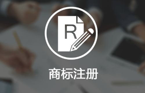巧思益财税公司涉案超100万元销售假冒知名品牌产品获刑